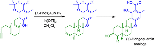 Biomimetic Syntheses Of Analogs Of Hongoquercin A And B By Late-Stage ...