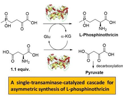 A Single Transaminase Catalyzed Biocatalytic Cascade For Efficient Asymmetric Synthesis Of L Phosphinothricin Chembiochem X Mol