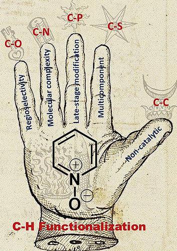 Recent Progress In Non Catalytic C H Functionalization Of Heterocyclic N Oxides European Journal Of Organic Chemistry X Mol