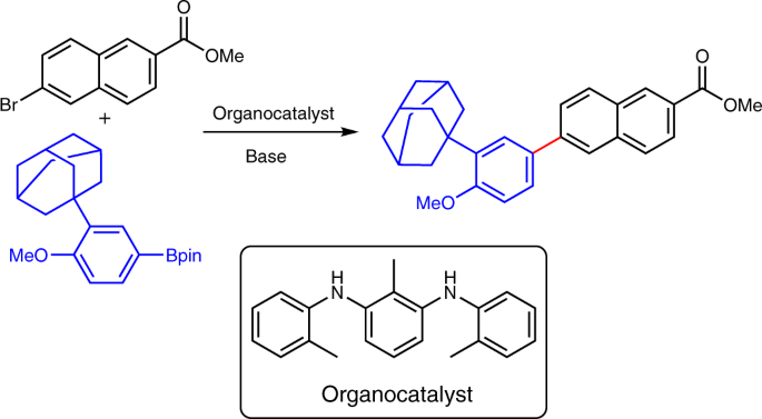 The Amine Catalysed Suzuki Miyaura Type Coupling Of Aryl Halides And Arylboronic Acids Nature Catalysis X Mol