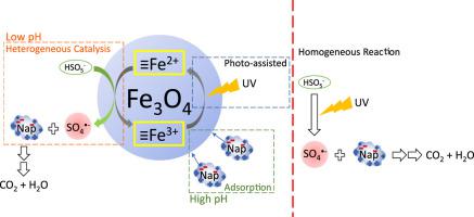 Fe Sub 3 Sub O Sub 4 Sub Oxone Uv对萘的光催化作用 同时的自由基和非自由基途径 Journal Of Environmental Chemical Engineering X Mol