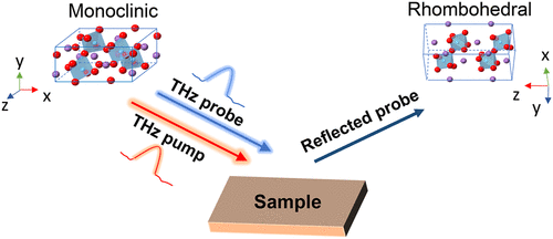 Ultrafast Electric Field-Induced Phase Transition in Bulk Bi0.5Na0