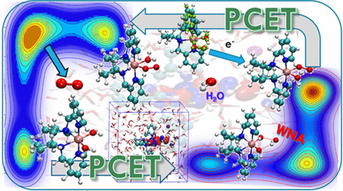 Mechanism And Electronic Perspective Of Oxygen Evolution Reactions ...