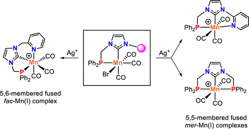 Cationic Pcp And Pcn Nhc Core Pincer Type Mn I Complexes From Synthesis To Catalysis Organometallics X Mol