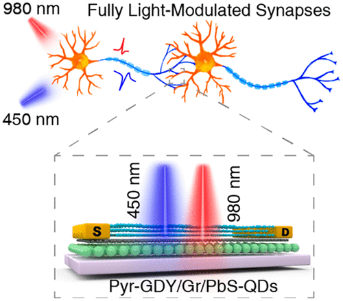 Large-Scale And Flexible Optical Synapses For Neuromorphic Computing ...