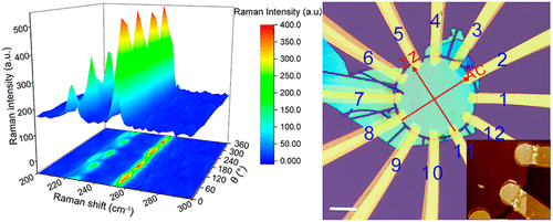 In-Plane Optical And Electrical Anisotropy Of 2D Black Arsenic,ACS Nano ...