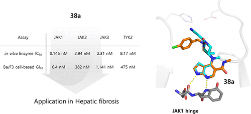 Discovery And Biological Evaluation Of N Methyl Pyrrolo 2 3 B Pyridine 5 Carboxamide Derivatives As Jak1 Selective Inhibitors Journal Of Medicinal Chemistry X Mol