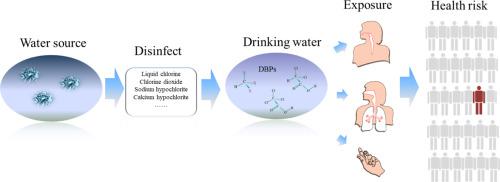 Cumulative Health Risk Assessment Of Disinfection By-products In ...