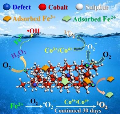 Defects On Cos2 X Tuning Redox Reactions For Sustainable Degradation Of Organic Pollutants Angewandte Chemie International Edition X Mol