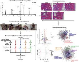 Quantitative Proteomics Reveal The Protective Effects Of Eds Against Osteoarthritis Via Attenuating Inflammation And Modulating Immune Response Journal Of Ethnopharmacology X Mol