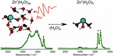 Microsolvation Of Zn Cations Infrared Multiple Photon Dissociation Spectroscopy Of Zn H2o N N 2 35 Physical Chemistry Chemical Physics X Mol