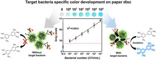 Paper-based colorimetric detection of pathogenic bacteria in food ...