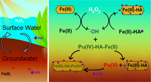 Plutonium Redox Transformation In The Presence Of Iron, Organic Matter ...