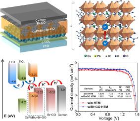 Multifunctional Brominated Graphene Oxide Boosted Charge Extraction For ...