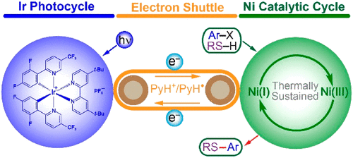 Photoredox Nickel-Catalyzed C–S Cross-Coupling: Mechanism, Kinetics ...