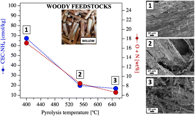 实验室规模热解产生的生物炭 原料和操作温度的影响 Biomass Conversion And Biorefinery X Mol