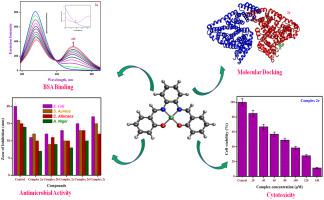 Synthesis Characterization Antimicrobial Bsa Binding Dft Calculation Molecular Docking And Cytotoxicity Of Ni Ii Complexes With Schiff Base Ligands Journal Of Molecular Liquids X Mol