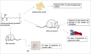 Evaluation Of The Antiseptic And Wound Healing Potential Of Polyhexamethylene Guanidine Hydrochloride As Well As Its Toxic Effects European Journal Of Pharmaceutical Sciences X Mol