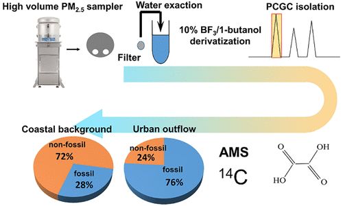 Compound-Specific Radiocarbon Analysis Of Low Molecular Weight ...