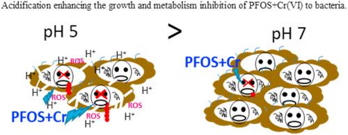 Soil Acidification Enhancing The Growth And Metabolism Inhibition Of Pfos And Cr Vi To Bacteria Involving Oxidative Stress And Cell Permeability Environmental Pollution X Mol