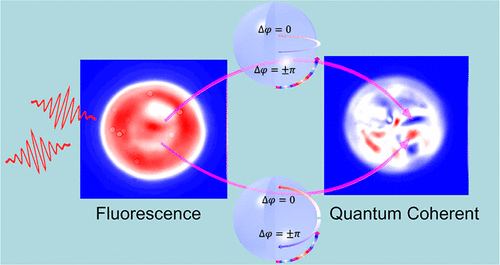 Visualizing Quantum Coherence Based On Single-Molecule Coherent ...