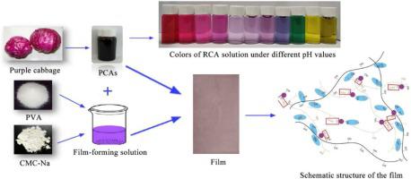 A Colorimetric Film Based On Polyvinyl Alcohol Sodium Carboxymethyl Cellulose Incorporated With Red Cabbage Anthocyanin For Monitoring Pork Freshness Food Packaging And Shelf Life X Mol