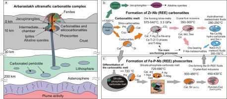 Petrogenesis Of Zr Nb Ree Carbonatites From The Arbarastakh Complex Aldan Shield Russia Mineralogy And Inclusion Data Ore Geology Reviews X Mol