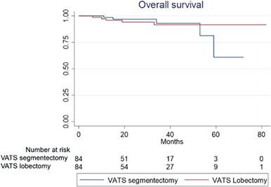 小于2 Cm的实体nsclc的vats段切除和肺叶切除术后的短期局部控制 Thoracic Cancer X Mol