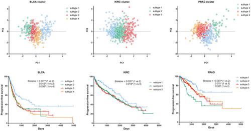 The Prognostic Value And Potential Subtypes Of Immune Activity Scores