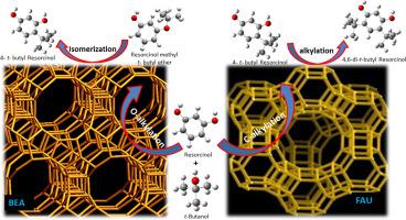 Alkylation of resorcinol with tertiary butanol over zeolite catalysts ...