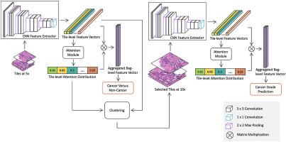 A multi-resolution model for histopathology image classification and ...