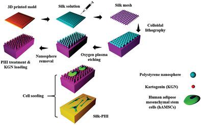 A Biomimetic Nano‐Engineered Platform For Functional Tissue Engineering ...