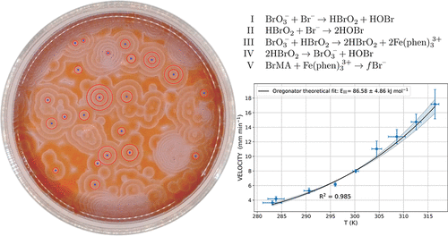 Pattern Recognition Of Chemical Waves Finding The Activation Energy Of The Autocatalytic Step In The Belousov Zhabotinsky Reaction The Journal Of Physical Chemistry B X Mol