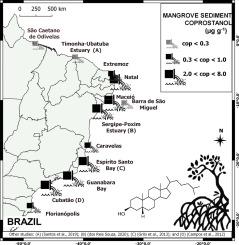 Fecal sterols as sewage contamination indicators in Brazilian