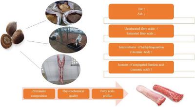 Babassu Cake In Goat Diet Improves Growth Performance And Quality And Fatty Acid Profile Of Meat European Journal Of Lipid Science And Technology X Mol