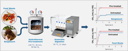 Biogas production through anaerobic co-digestion of rice husk and