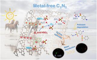 Experimental And DFT Insights Into The Visible-light Driving Metal-free ...