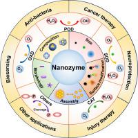 Chemical Design Of Nanozymes For Biomedical Applications,Acta ...