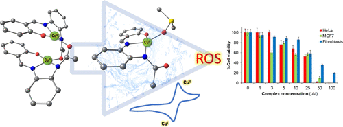 Copper Ii N N O Chelating Complexes As Potential Anticancer Agents Inorganic Chemistry X Mol