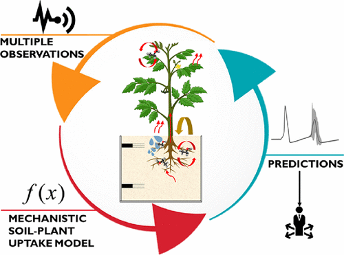 机械性土壤-植物吸收模型的应用：青豆植物中卡马西平易位的综合实验和 