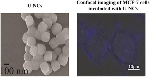 Controlled Synthesis And Upconversion Luminescence Properties Of Highly Uniform And Monodisperse B Nayf4 Yb3 Tm3 Nanocrystals Luminescence X Mol