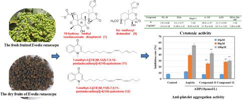 New Limonoids And Quinolone Alkaloids With Cytotoxic And Anti Platelet Aggregation Activities From Evodia Rutaecarpa Juss Benth Fitoterapia X Mol