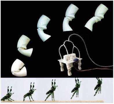 Spider Origami: Folding Principle Of Jumping Spider Leg Joints For ...