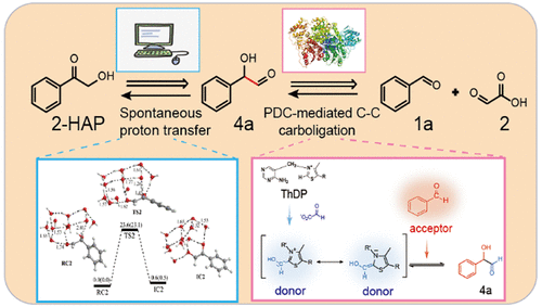 One-Pot Enzymatic–Chemical Cascade Route For Synthesizing Aromatic α ...