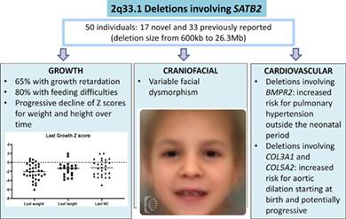 Growth Development And Phenotypic Spectrum Of Individuals With Deletions Of 2q33 1 Involving Satb2 Clinical Genetics X Mol