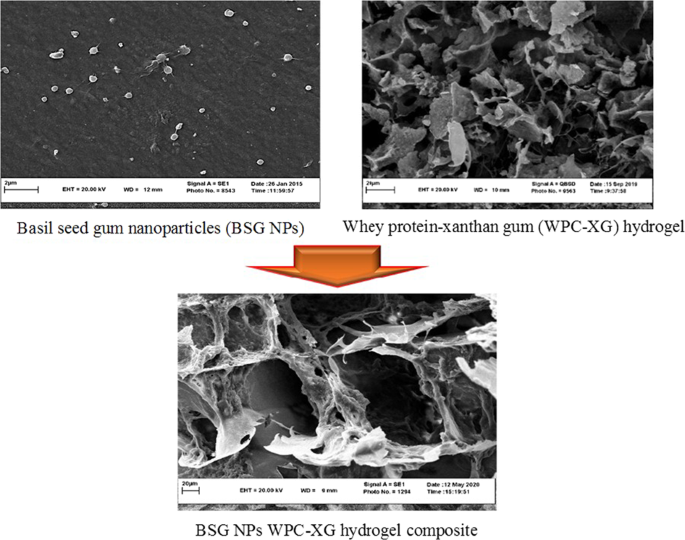 Development Of Mechanical And Thermal Properties Of Whey Protein Xanthan Gum Hydrogel By Incorporation Of Basil Seed Gum Nanoparticles Salt And Acidic Ph Journal Of Sol Gel Science And Technology X Mol