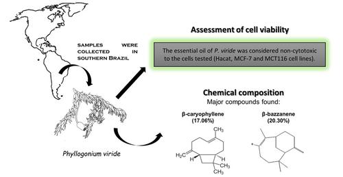 Chemical Composition and Biological Activity of the Essential Oil