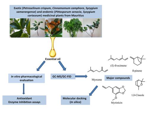 毛里求斯的三种外来植物和两种地方性植物的精油的gc Ms分析 体外和计算机模拟药理学筛选以及主成分分析 Chemistry Biodiversity X Mol