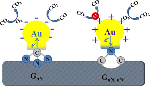 Structure And Catalytic Activity Of Gold Clusters Supported On Nitrogen Doped Graphene The Journal Of Physical Chemistry C X Mol