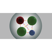 Observation Of A Near Threshold Structure In Thek Recoil Mass Spectra Ine E K Ds D 0 Ds D0 Physical Review Letters X Mol